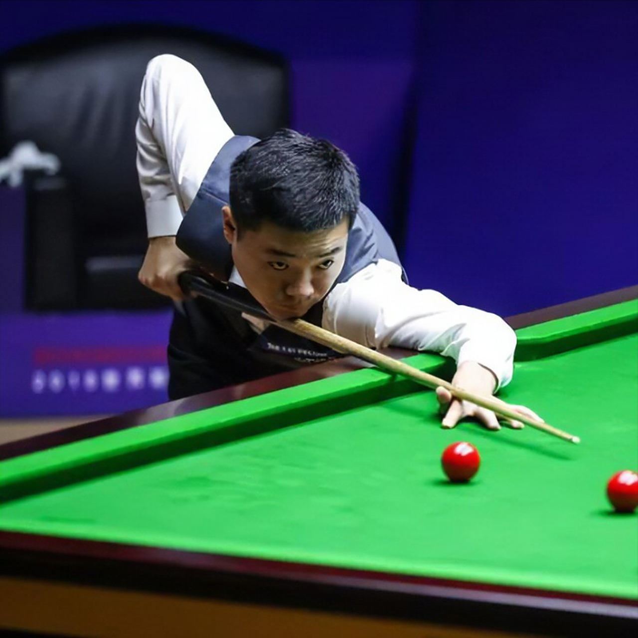 被拉回的根 被拉回的根